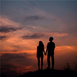 夕颜花：浪漫夕阳，爱情永恒