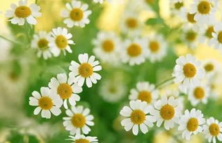 出差半月怎么保命？三招续命大法