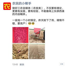 花生播种的最佳时间是什么时候？老农教你把握最佳播种时机
