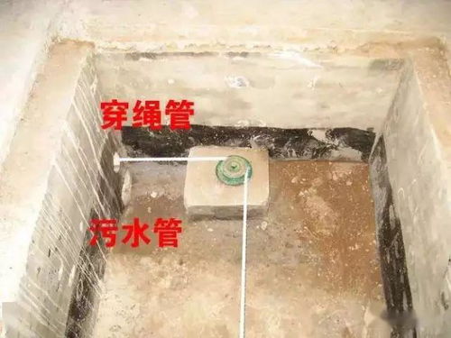 猪场建沼气池，实现粪便资源化