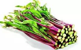 秋波菜在什么季节播种最适宜，何时播种秋波菜生长效果最佳