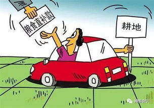 粮食直补， 保障种粮积极性