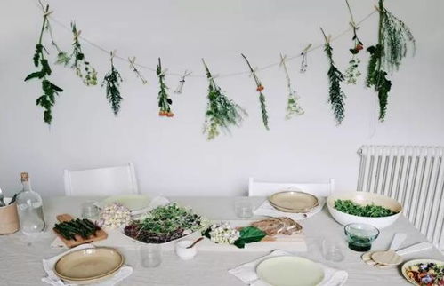 大花盆， 月季、牡丹的完美舞台