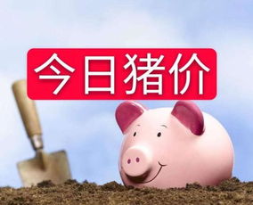 全国猪价上涨，猪价格网今日预测的猪价行情会持续上涨吗？