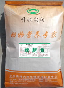肉兔复合预混料使用全攻略中，如何正确搭配饲料让新手兔兔健康成长？