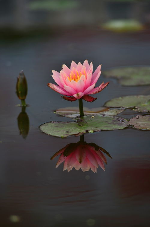 水深到底有多深