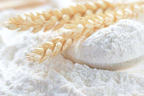 雪花粉和轻麸，两者均为小麦加工副产品