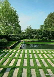 园林中的铺地柏，绿色与美丽的使者