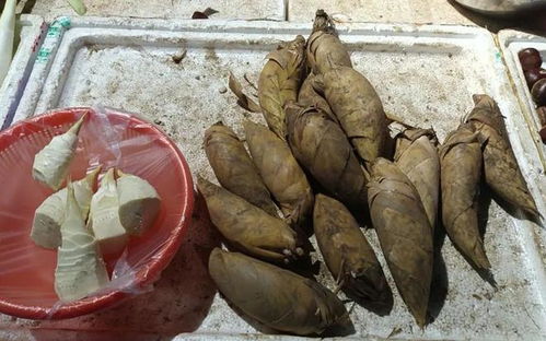 冬笋市场价格波动大，春笋与冬笋有何区别
