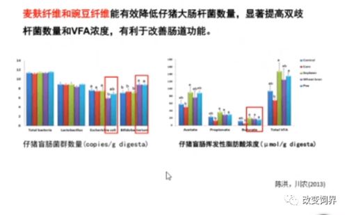 替代抗生素饲料价格分析中，哪些趋势和挑战可能导致饲料中抗生素替代品市场增长放缓？