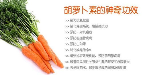 牛子功效有哪些？如何正确使用