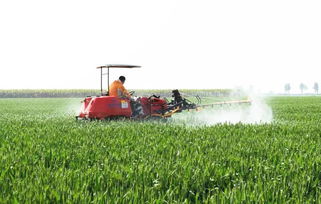 不同除草剂的使用方法