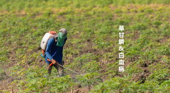 除草剂的使用方法和注意事项