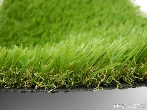 草坪的“身高”与“身材”