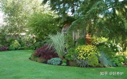 花境的设计原则及其布置手法