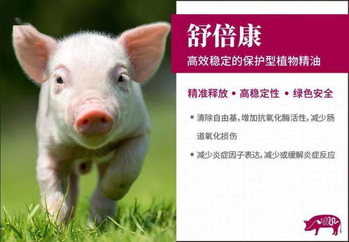 饲料无抗潮涌，仔猪料配方需添“它”助力