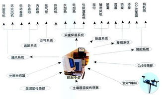 5. 园艺盆