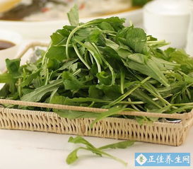 哪些野菜禁用了农药，没有使用化肥，味道特别鲜美呢？