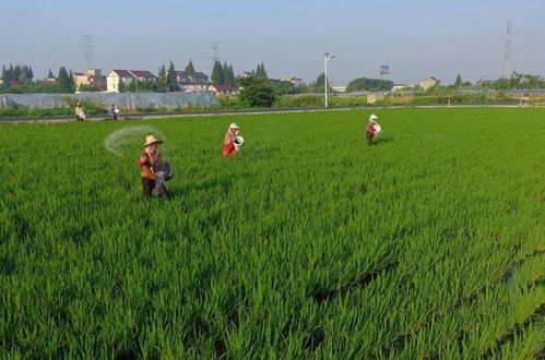 三大实操误区，你中了几招？
