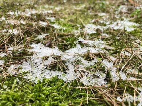 你的花苗总养不好？可嫩是这个原因！