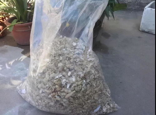 如何提高土壤透气性？效果可持续吗