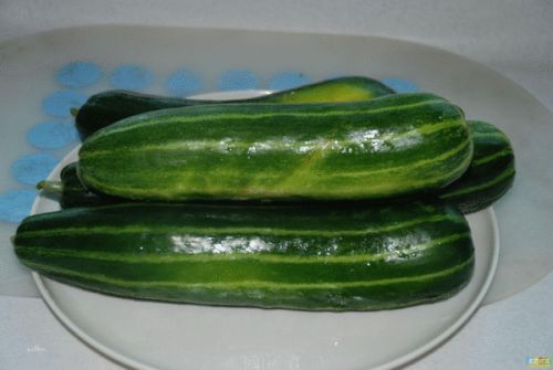 黄瓜：清凉爽口，水分足