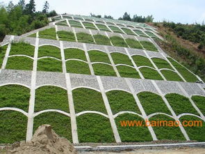 护坡草种的时效性