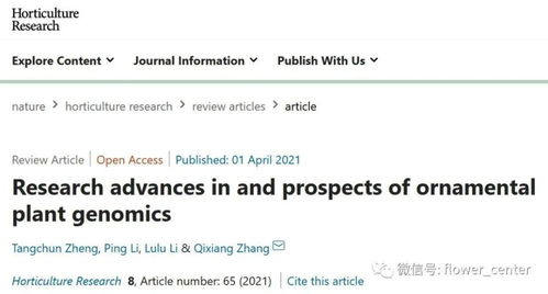 北京林大的月季花真漂亮啊，它们现在者阝跑到哪儿去了呢？