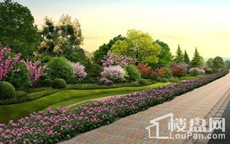 一、了解你的景观特点