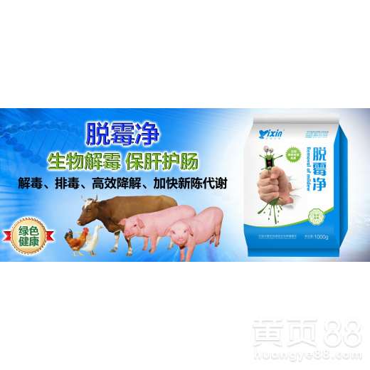 肉鸡吃一两饲料需要喝多少水？这个比例是多少？
