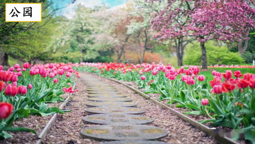 3-5月高成活率种苗清单， 避坑指南