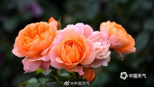 规格，规格，了解一下