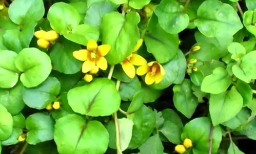 三大致命错误，你犯了吗？