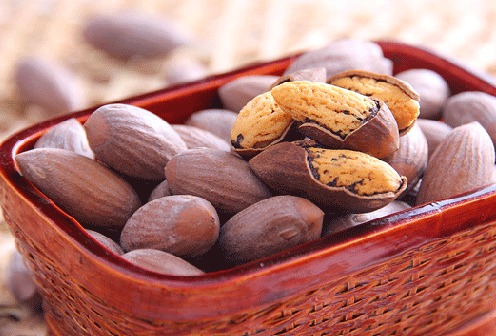 狗子帮忙种香榧， 出奇制胜