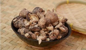 香菇，伞状菌盖