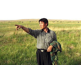 牧民巴特尔的沙地奇遇：碱茅冬天成救命粮