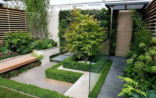 别墅花园大变身：选择那些既美观又耐养的花卉