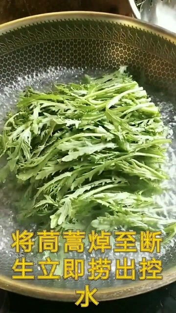 茼蒿高效种植技巧中，家庭菜园养护全流程有哪些注意事项