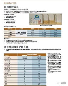 饲料成本激增30%，如何运用五大策略实现饲料部成本降低20%？