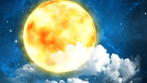 收点太阳来过冬，这温暖的光芒