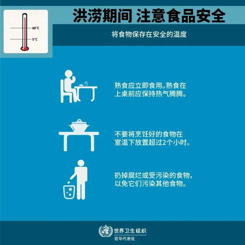 饲料中添加人用蛋白会导致哪些食品安全问题？有哪些替代品可以避免这些风险？