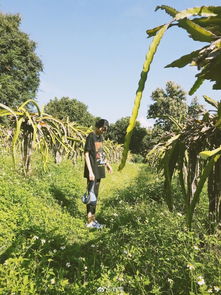 动态平衡：适应变化的智慧