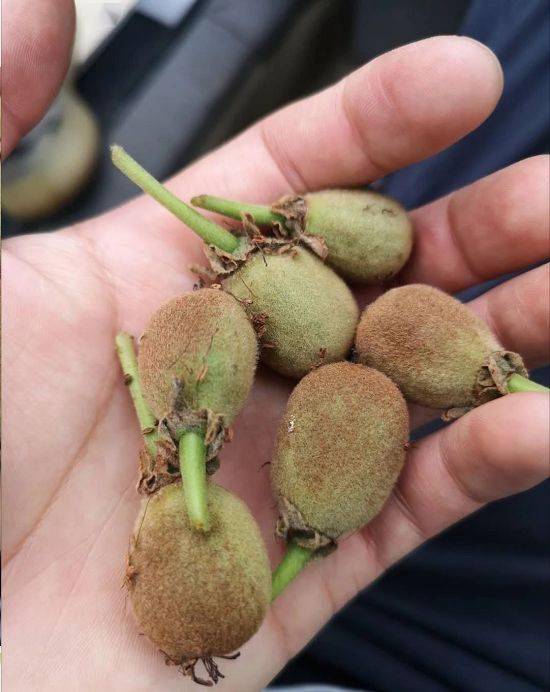 防范措施， 不容忽视