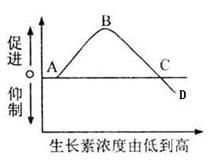 浓度过高带来的问题