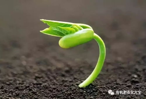 整地施肥，不Neng少