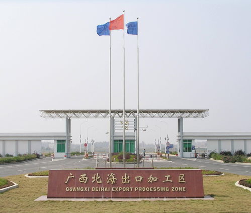 广西北海出口加工区有收购罗非鱼的加工厂吗？