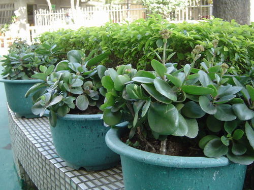 （问题集中解答）