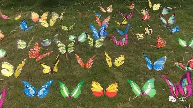 那片像蝴蝶的蓝色花海是啥？蓝猪耳！