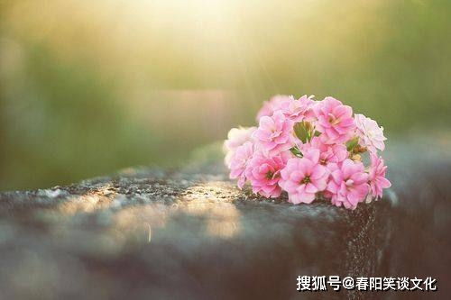 花开思念，芬芳永存