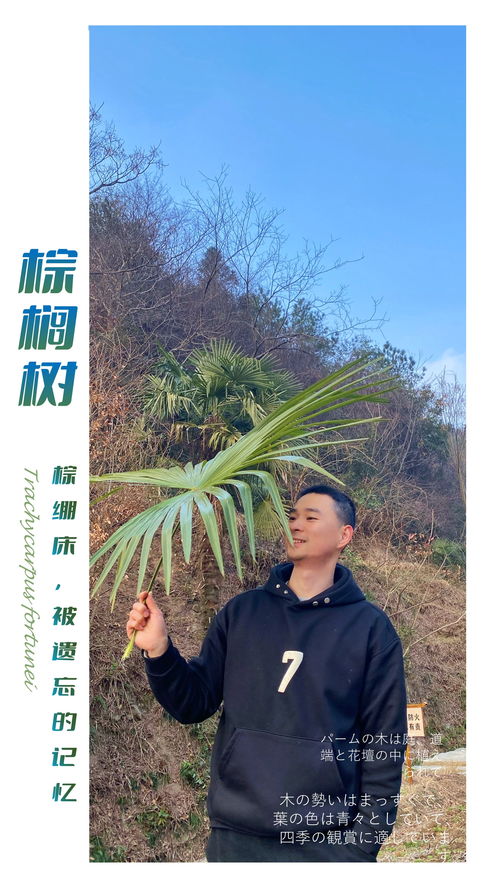 后来啊时节， 各有不同